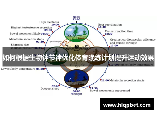 如何根据生物钟节律优化体育晚练计划提升运动效果